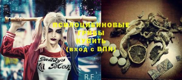 apvp Зерноград