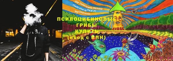 apvp Зерноград
