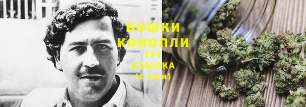 гашик Зеленодольск