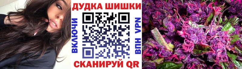 как найти закладки  Юрьев-Польский  Бошки марихуана сатива 